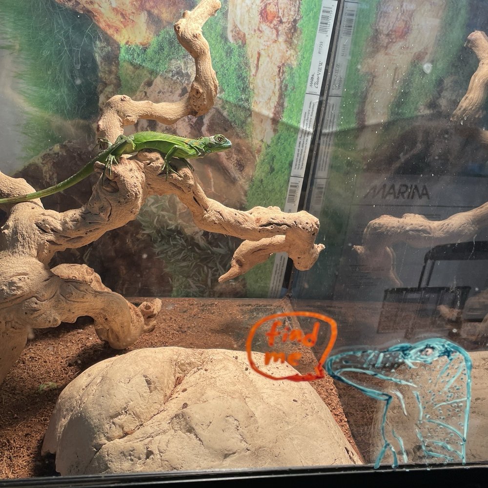 Super Pets - Pet Stores Near Me - Temple City, California Super Pets - Pet Stores Near Me - Temple City, California