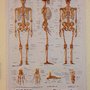 Photo of Affordable Pain Management