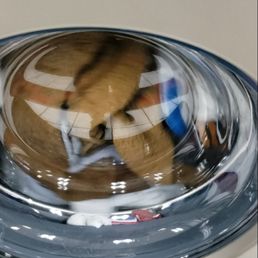Dry clothes in a washing machine a scam Dry clothes in a washing machine a scam