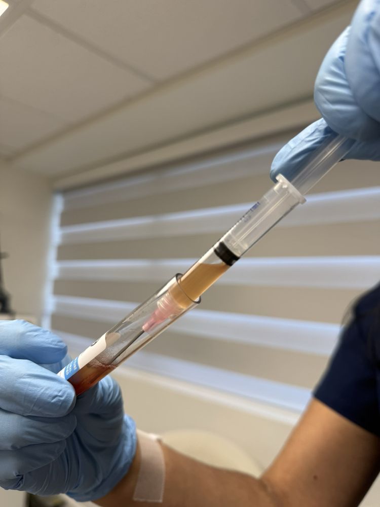 Lily Lips & Nose Logo