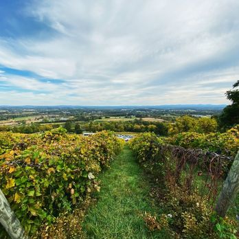 Bluemont Vineyard - Venues & Event Spaces Near Me - Bluemont, Virginia Bluemont Vineyard - Venues & Event Spaces Near Me - Bluemont, Virginia