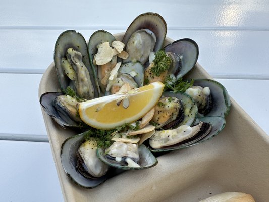 Auckland Fish Market by null