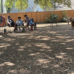 Central Dog Park - These people tried to hit my dog. Beware.