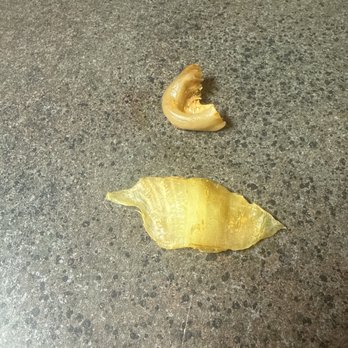 Craft'd - Food scraps that were in my food but should not have been. In the stuff'd ravioli. - American Near Me - Plainfield, Illinois Craft'd - Food scraps that were in my food but should not have been. In the stuff'd ravioli. - American Near Me - Plainfield, Illinois