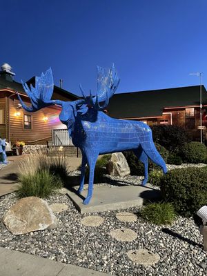 Blue Moose Bar & Grill by null