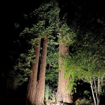 boon hotel + spa - Redwoods at night! - Hotels Near Me - Guerneville, California