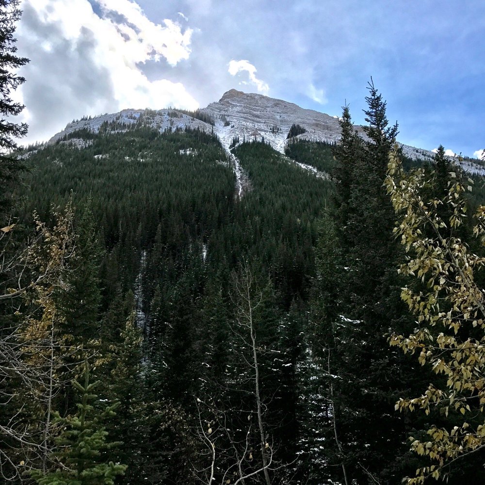 Galatea Creek - Massive mountains in view from the trail - Hiking Near Me