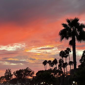 Doho Cafe - Beautiful sunset - Cafes Near Me - Dana Point, California