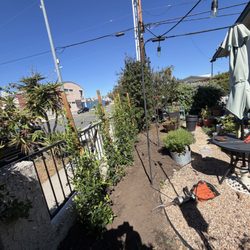King Landscaping And Tree Services