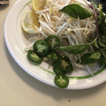 Pho 7 - Veggie Side Plate - Add to your broth. - Vietnamese Near Me - Tallahassee, Florida Pho 7 - Veggie Side Plate - Add to your broth. - Vietnamese Near Me - Tallahassee, Florida