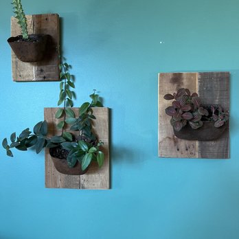 Forest & Flour - Decor includes lots of plants - Bakeries Near Me - Fremont, California Forest & Flour - Decor includes lots of plants - Bakeries Near Me - Fremont, California