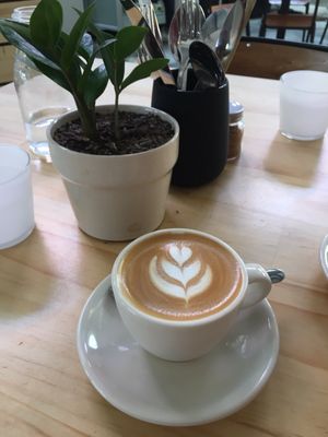 Elementary Coffee by null