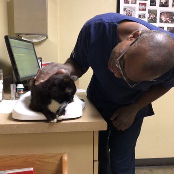 Animal Care Hospital - Veterinarians Near Me - Lompoc, California Animal Care Hospital - Veterinarians Near Me - Lompoc, California