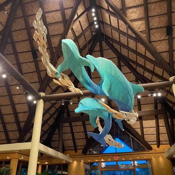 Discovery Cove - entrance - Amusement Parks Near Me - Orlando, Florida Discovery Cove - entrance - Amusement Parks Near Me - Orlando, Florida