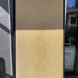 After baking soda, vacuuming, and days in the direct hot sun, mold remains.