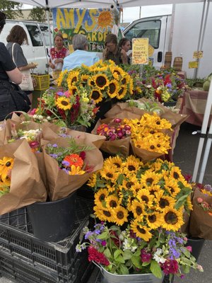 Birdhouse Farmers Market by null