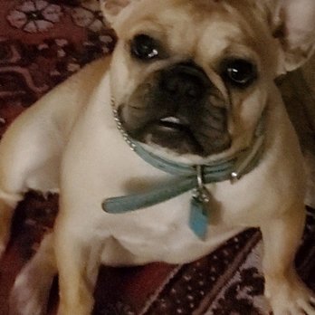 Bulverde Bexar Veterinary Clinic - My baby girl Penelope - Veterinarians Near Me - San Antonio, Texas Bulverde Bexar Veterinary Clinic - My baby girl Penelope - Veterinarians Near Me - San Antonio, Texas
