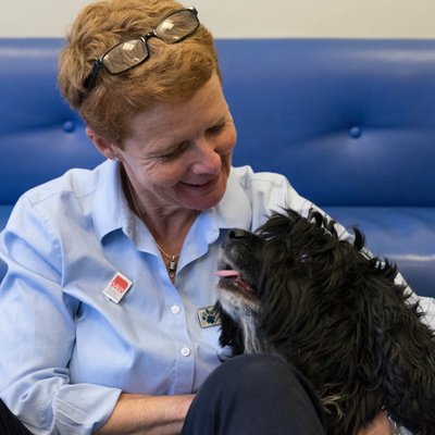 blue cross vets near me