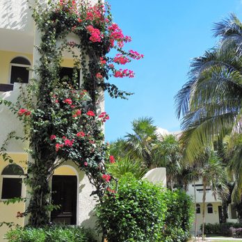 El Dorado Royale - Shot of the grounds - Resorts Near Me - Solidaridad, ROO