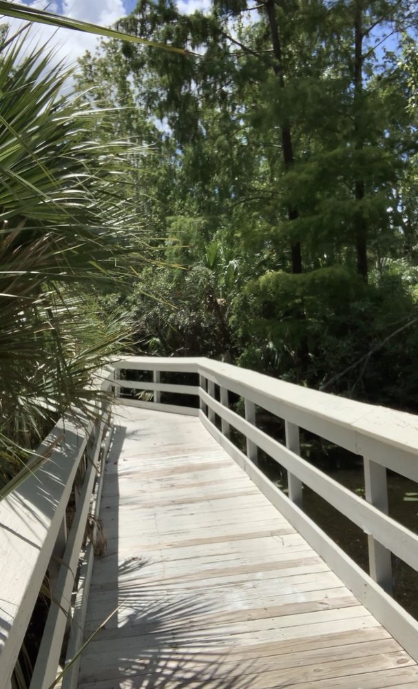Demetree Park Image