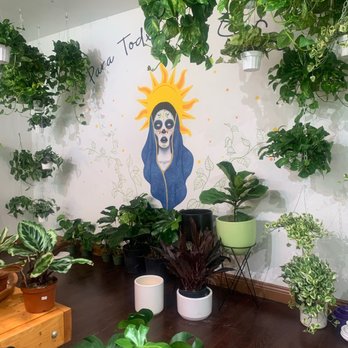 Plantiitas - Home Decor Near Me - Long Beach, California