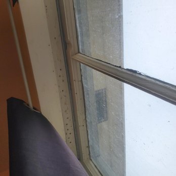 Chateau Coralini - Mold?/Mildew top of the window pane. - Hotels Near Me - Salinas, California