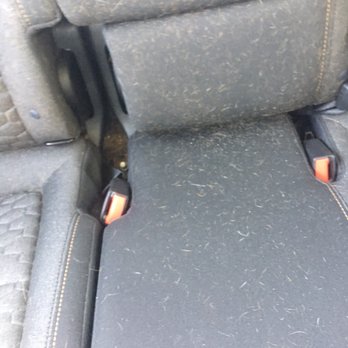 Eager Beaver Car Wash - Back seat sand & dog hair - Car Wash Near Me - Sarasota, Florida