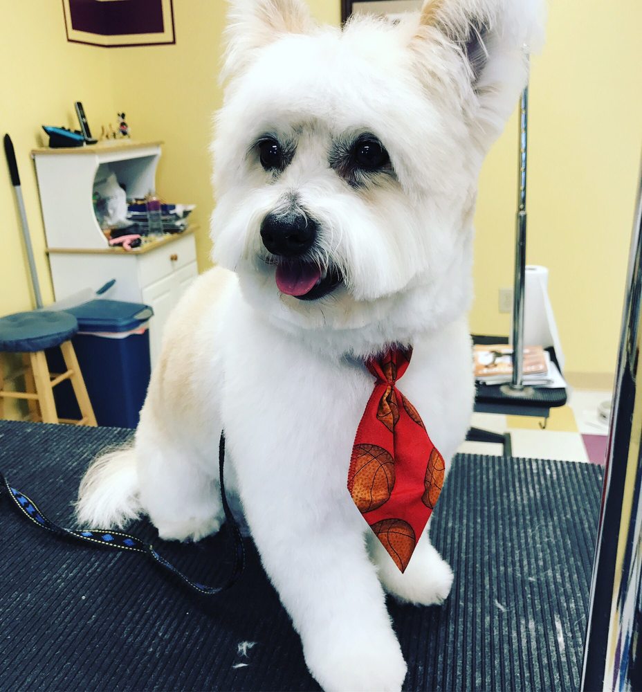 KARENS K9 KORNER Updated October 2024 8965 Columbia Rd, Maineville