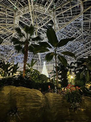 Gaylord Palms Resort & Convention Center by null
