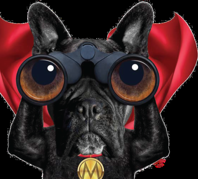 MIGHTY DOG ROOFING OF MORRIS AND UNION 42 Photos 760 Route 10