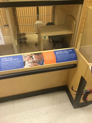 PetSmart by null
