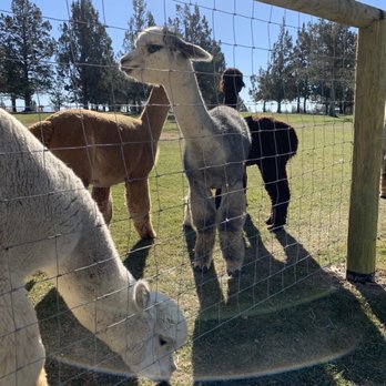 Crescent Moon Ranch - Ranches Near Me - Terrebonne, Oregon