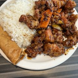 Mango Chicken with Steamed Rice