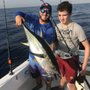 Photo of Bouncer's Dusky 33