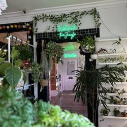 The Plant Sitter