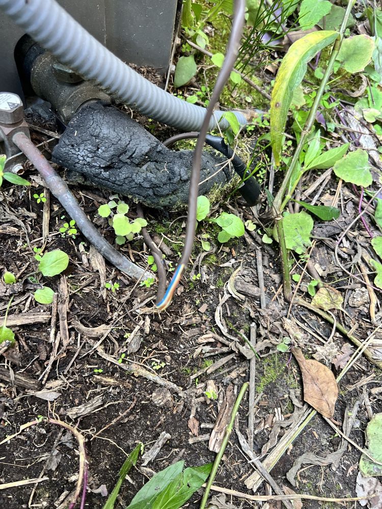 DAVIS BROS Updated April 2024 15 Photos & 19 Reviews 708 N Dixie