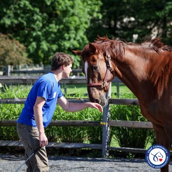 Kindle Hill Foundation - Animal Assisted Therapy Near Me - Blue Bell, Pennsylvania Kindle Hill Foundation - Animal Assisted Therapy Near Me - Blue Bell, Pennsylvania