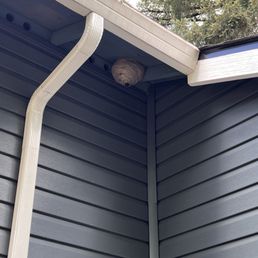 Exterior photo of Affordable Pest Pros - Vancouver, Washington Exterior photo of Affordable Pest Pros - Vancouver, Washington