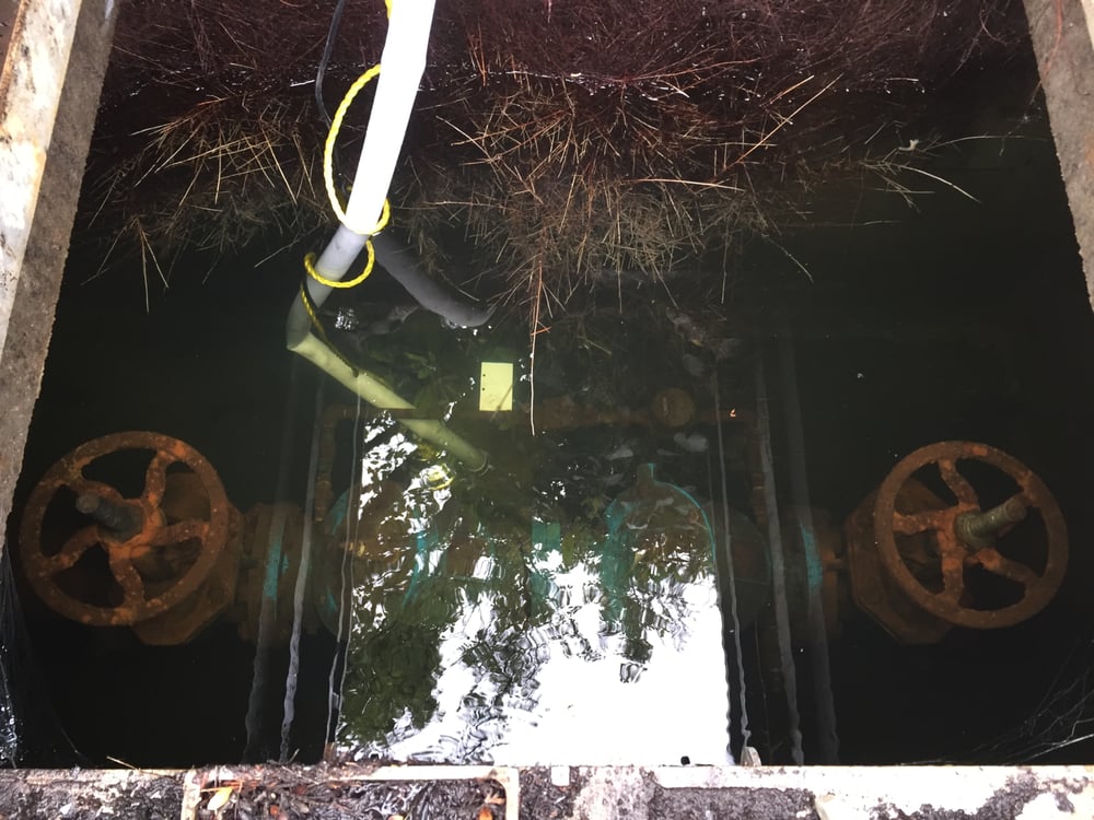 Slide of A+ Backflow