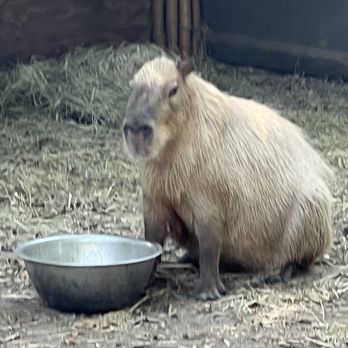 Montgomery Zoo - Zoos Near Me - Montgomery, Alabama