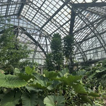 Garfield Park Conservatory - Parks Near Me - Chicago, Illinois Garfield Park Conservatory - Parks Near Me - Chicago, Illinois