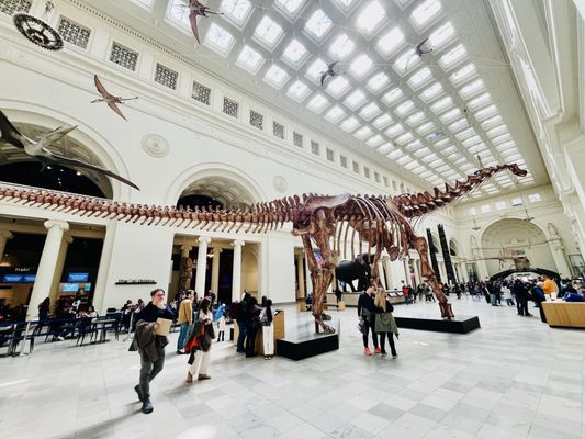 Field Museum by null