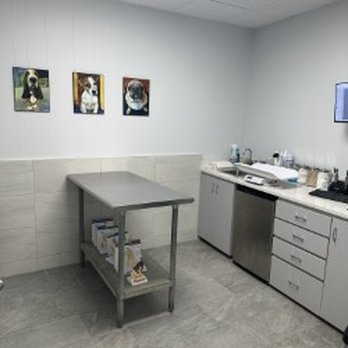 Station Plaza Veterinary Group - Exam room - Veterinarians Near Me - Glen Head, New York Station Plaza Veterinary Group - Exam room - Veterinarians Near Me - Glen Head, New York