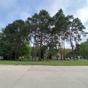 Right Cut Tree Service - Tree Services Near Me - Wadsworth, Ohio