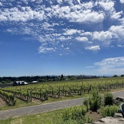 Domaine Willamette
