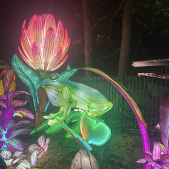 Boston Lights: A Lantern Experience - Local Flavor Near Me - Boston, Massachusetts