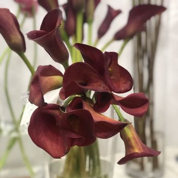 Fleur't - Florists Near Me - San Francisco, California