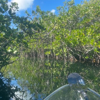 Get Up And Go Kayaking - Florida Keys - Heading into the mangrove tunnel - Rafting/Kayaking Near Me - Sugarloaf Key, Florida Get Up And Go Kayaking - Florida Keys - Heading into the mangrove tunnel - Rafting/Kayaking Near Me - Sugarloaf Key, Florida