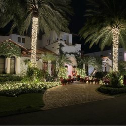 Royal Palms Holiday Lighting