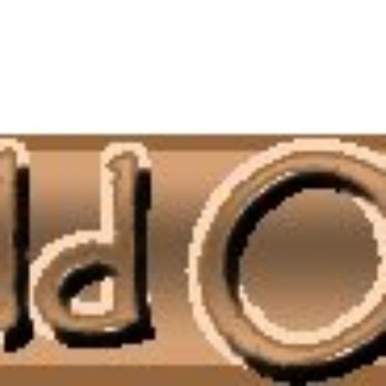 The Wild Olive - Seafood Near Me - Crestview, Florida The Wild Olive - Seafood Near Me - Crestview, Florida